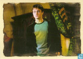 Harry Potter en de Orde van de Feniks