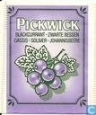 Blackcurrant-Zwarte Bessen 