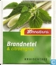 Brandnetel & citroengras 