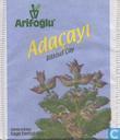 Adaçayi 