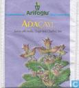Adaçayi