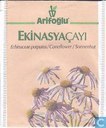 Ekinasyaçayi