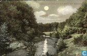 Waterpartij Bosch van Bredius