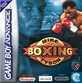 Mike Tyson Boxing