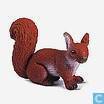 Eekhoorn