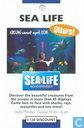 Sea Life