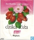 Dzika róza