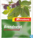 Brandnetel & Braamblad