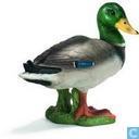 Woerd