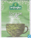 Isirgan