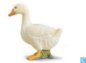Eend