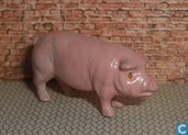 Pig