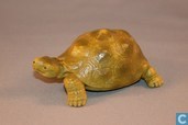 Reuzenschildpad