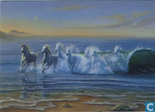 Wildwaters