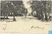 Scharloo 