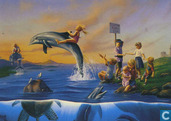 Dolphin Rides