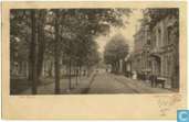 De Hout - Alkmaar
