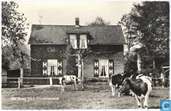 Carolinahoeve