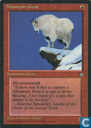 Mountain Goat 
