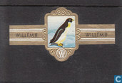 Adéliepinguin