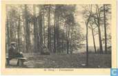 Duivelsteen