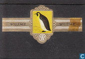 Koningspinguin