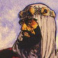 Michael Kaluta