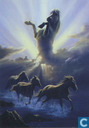 Wild Spirit