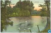 Zwanenvijver, Plantage