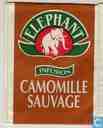 Camomille Sauvage