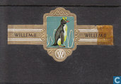Goudkuifpinguin