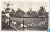 Hertenkamp