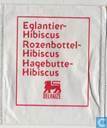 Eglantier-Hibiscus