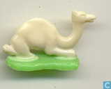Dromedaris