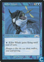Killer Whale