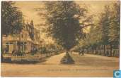 Brediusweg b.d. Vondellaan
