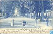 Lange Voorhout