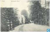 Driebergsche Straat