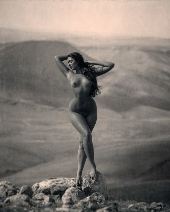 Brenda Venus Nude.