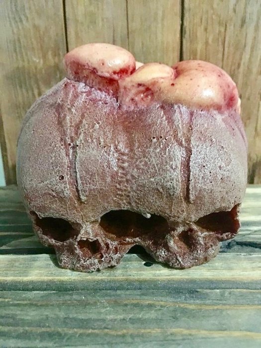 连体胎儿头骨 - 暹罗儿童头骨 复制品 - siamese skull - 12×7×7 cm