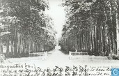 Laan v.d. Huize Ruurlo