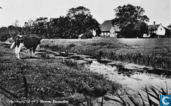Valkenburg, Hoeve Torenvliet