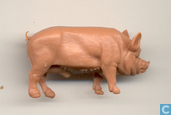 Pig, bear