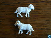 Ram