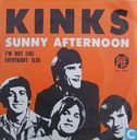 Sunny afternoon