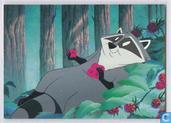 Meeko
