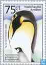 Pinguin