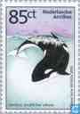 Orca