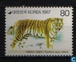tijger
