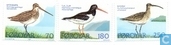 1977 Vogels